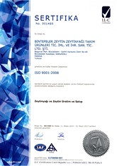 ISO 9001:2008 TR