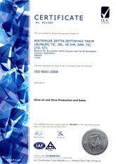 ISO 9001:2008 EN